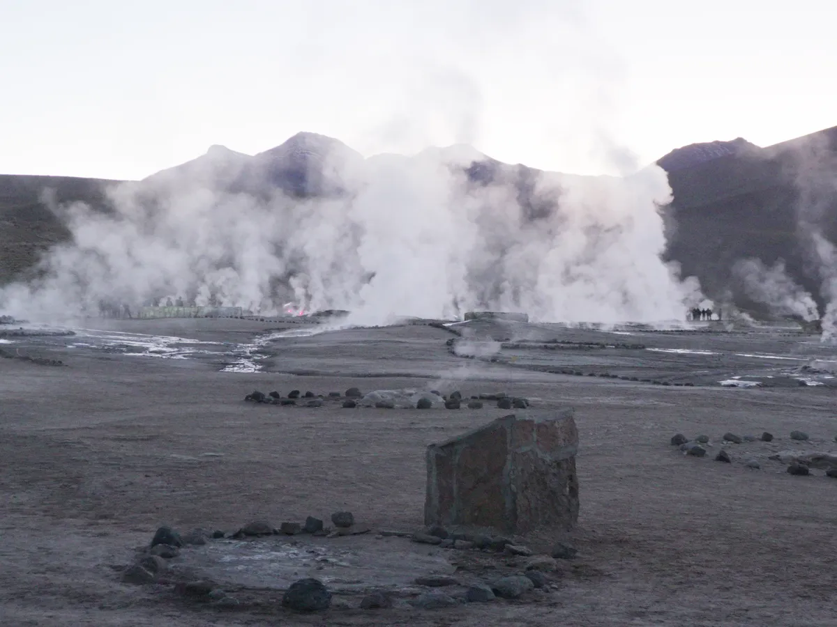 Columnas de vapor al amanecer en los Géiseres del Tatio